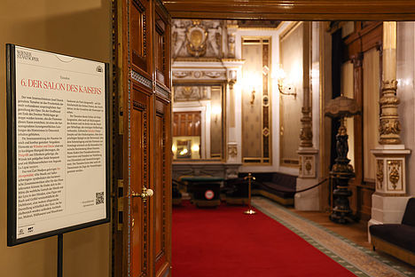&Oacute;pera de Viena