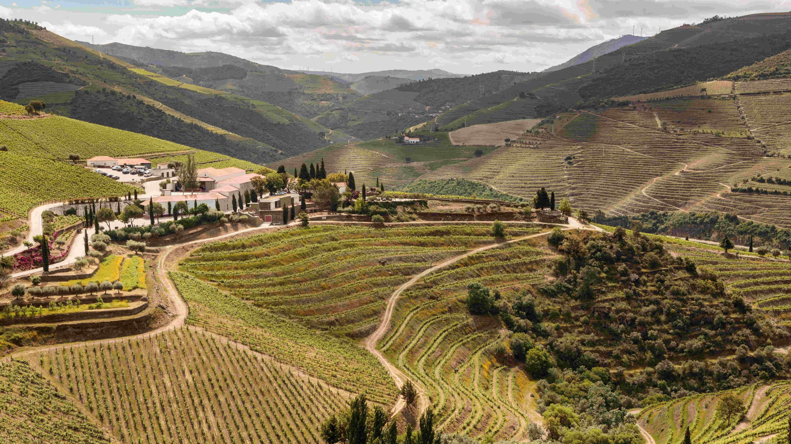 Los viñedos alrededor del hotel / Foto: Quinta Nova