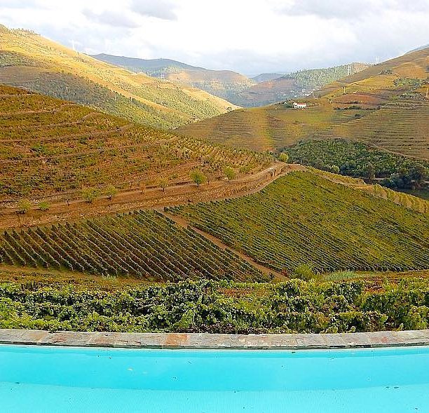 Piscina y zona de los viñedos / Foto: Quinta Nova