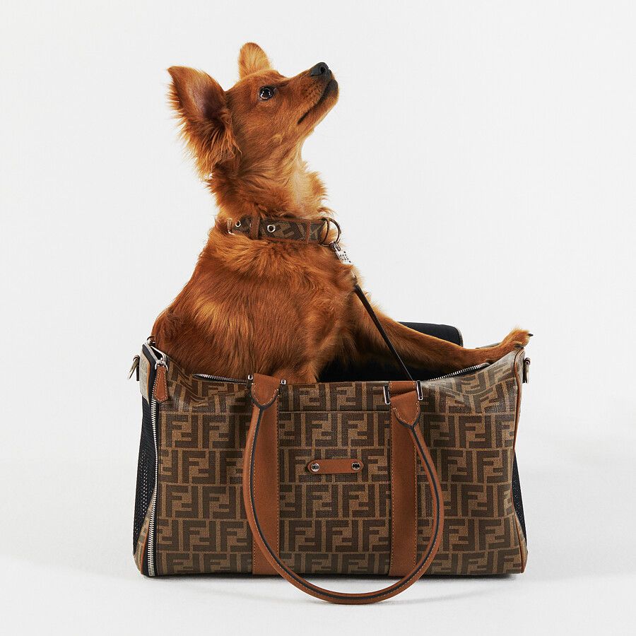 Bolso de transporte para mascotas de Fendi