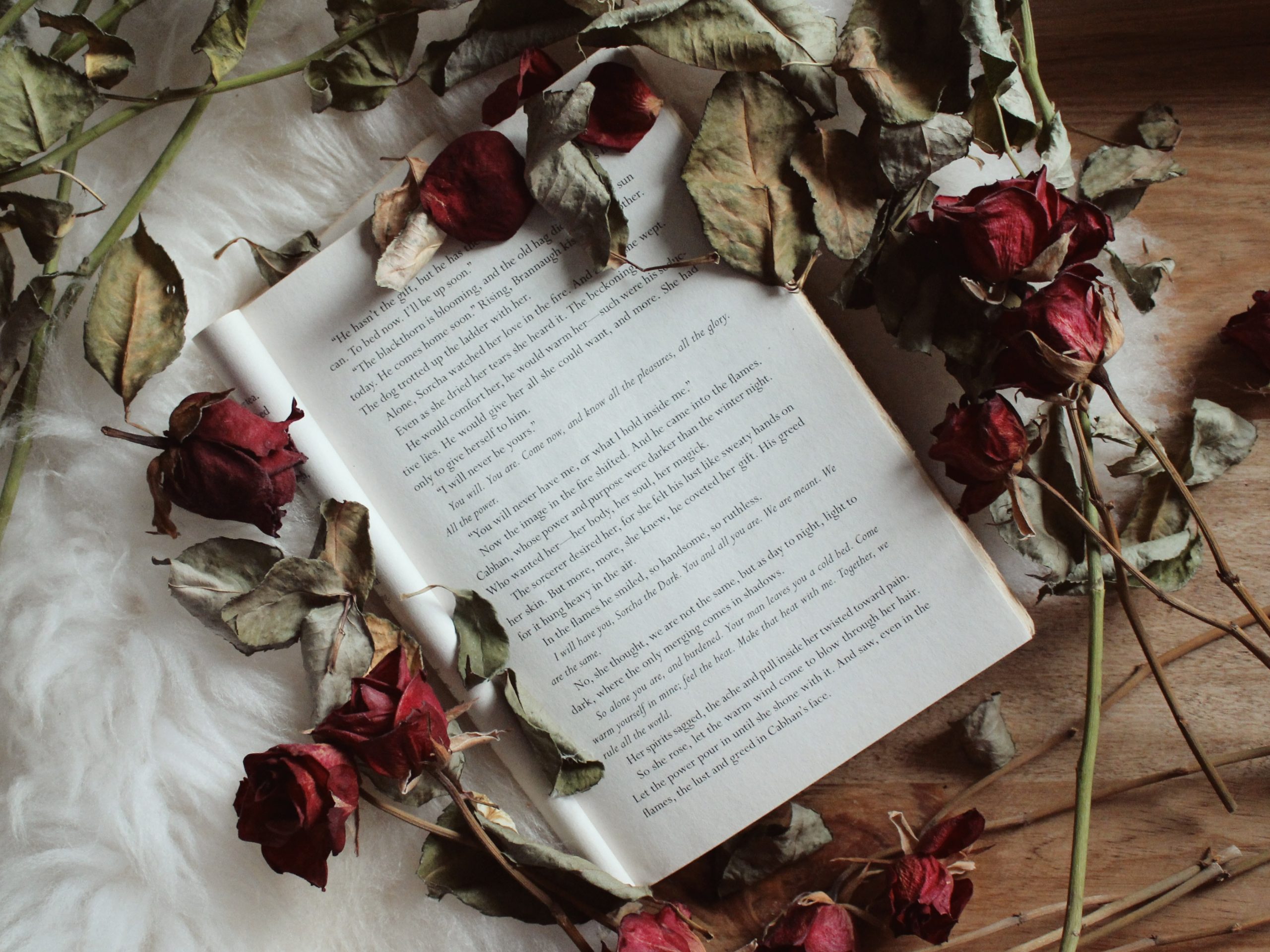 Rosa