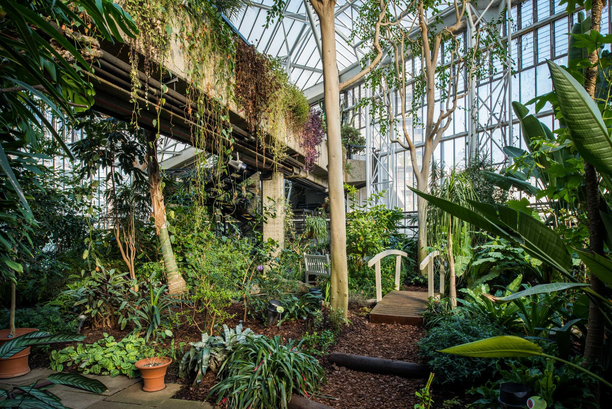 Uno de los rincones de The Conservatory / Foto: Max Colson