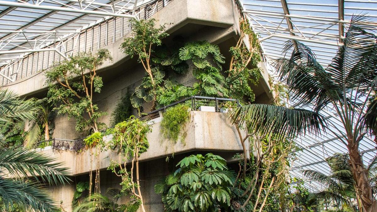 Uno de los rincones de The Conservatory / Foto: Max Colson