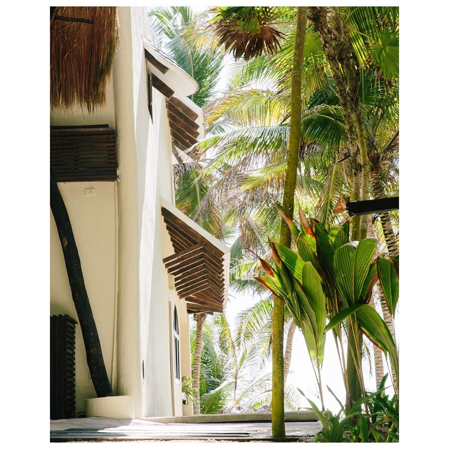 Exterior del hotel / Foto: Olas Tulum