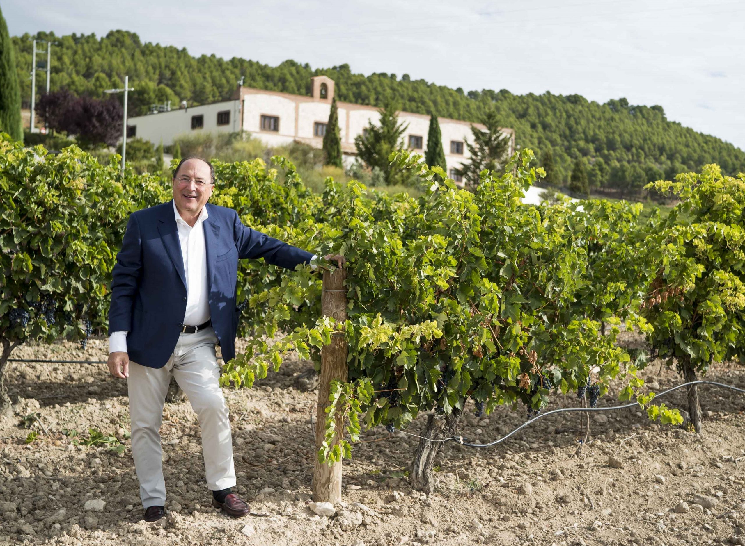 Foto: Bodegas Matarromera