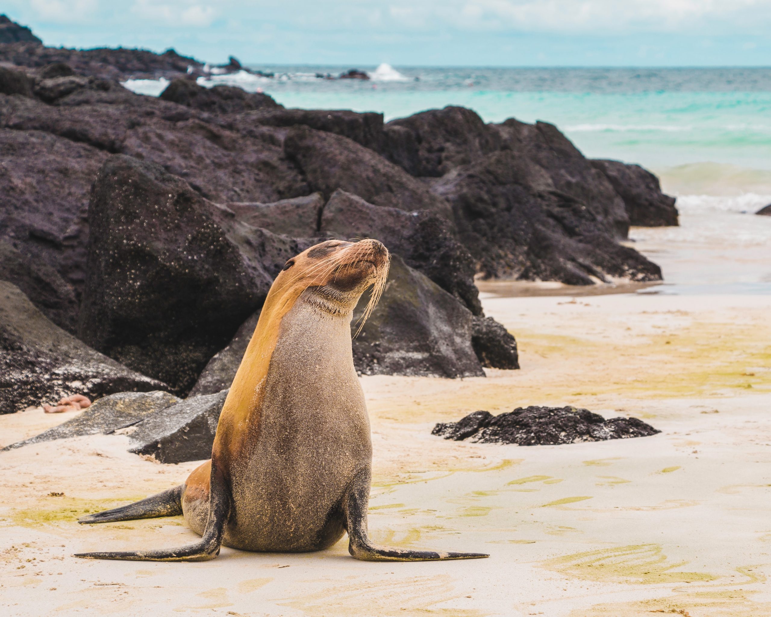 Parque Nacional de las Islas Gal&aacute;pagos