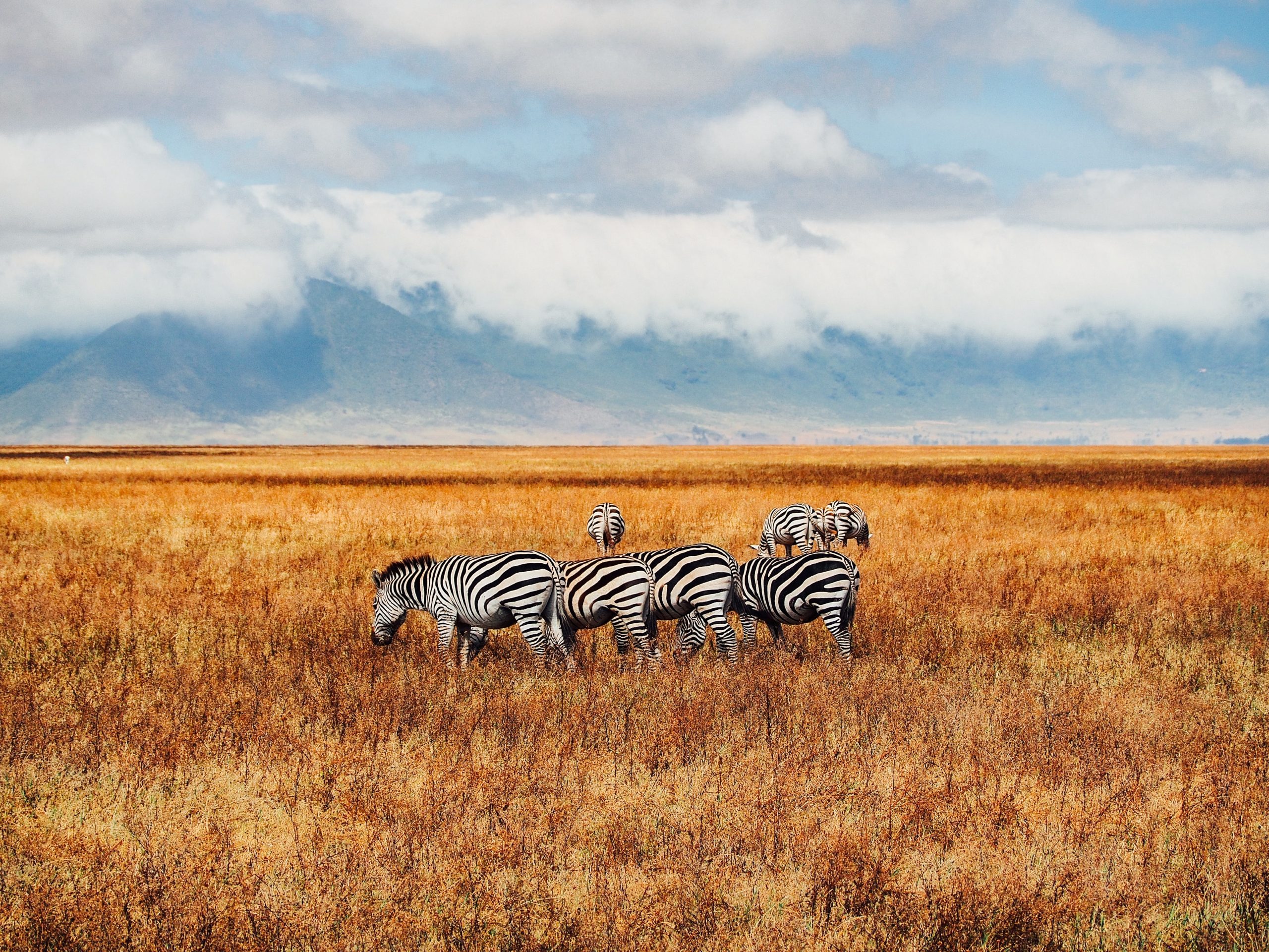 Cráter de Ngorongoro, Tanzania