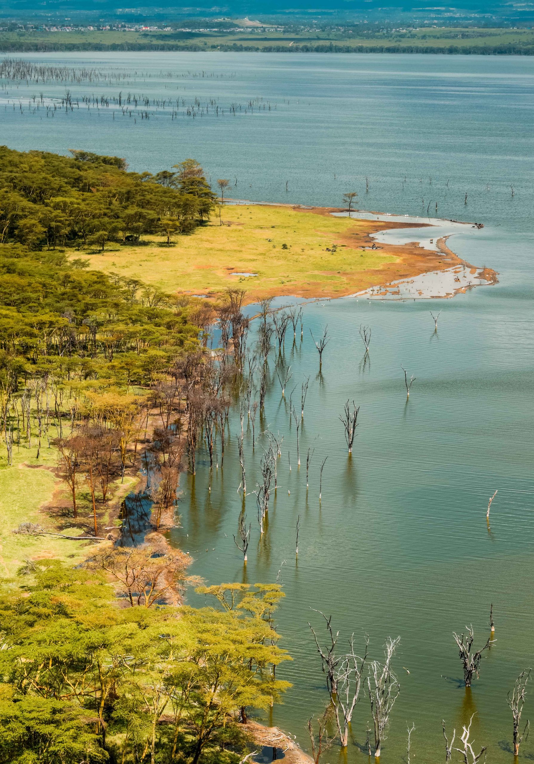Lago Nakuru, Kenia