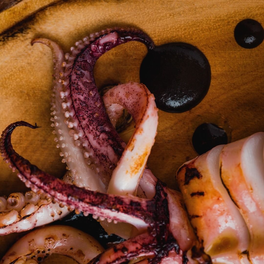 Pulpo