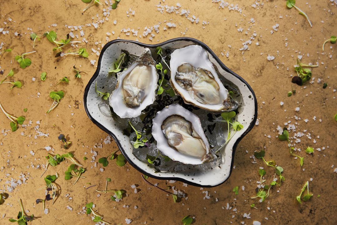 Plato de ostras