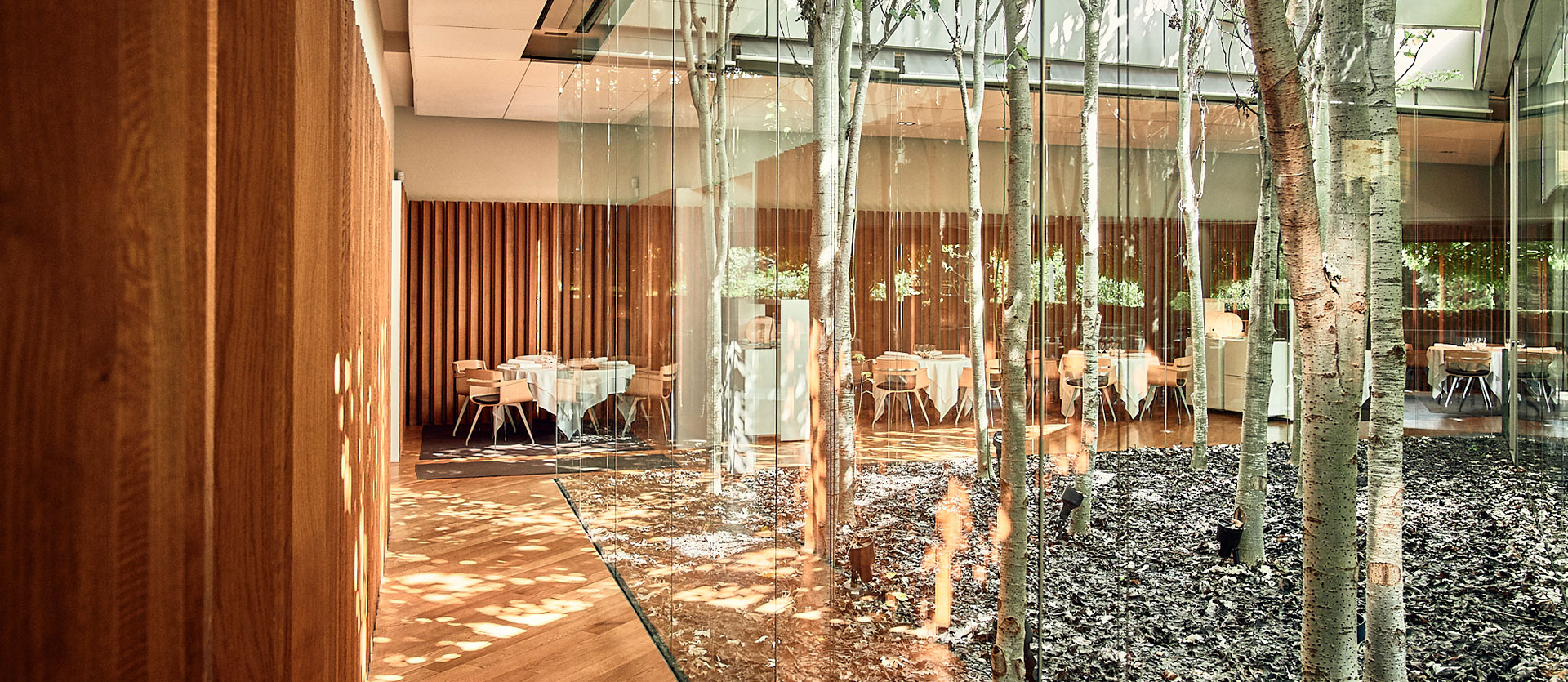 restaurantes cenar