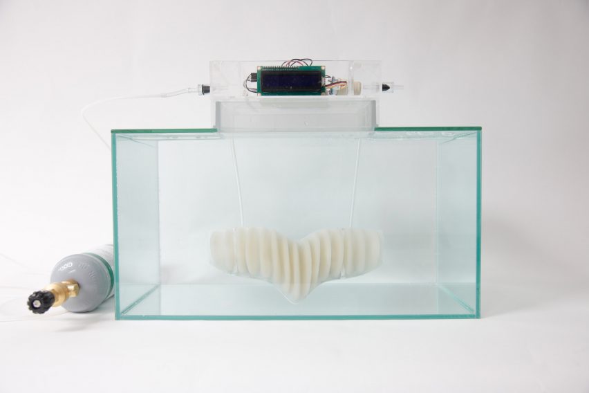 Prototipo Amphibio