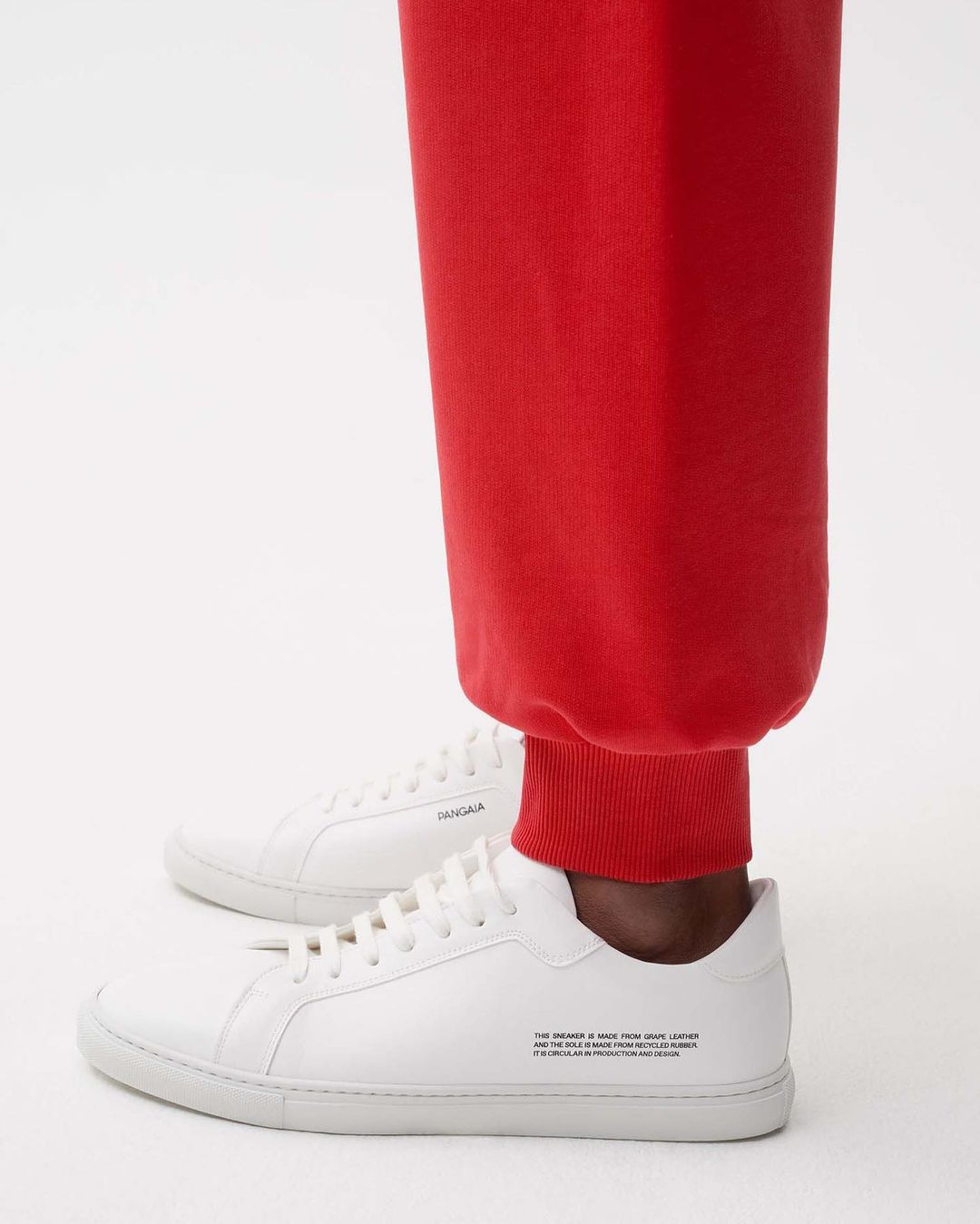Sneakers The Pangaia