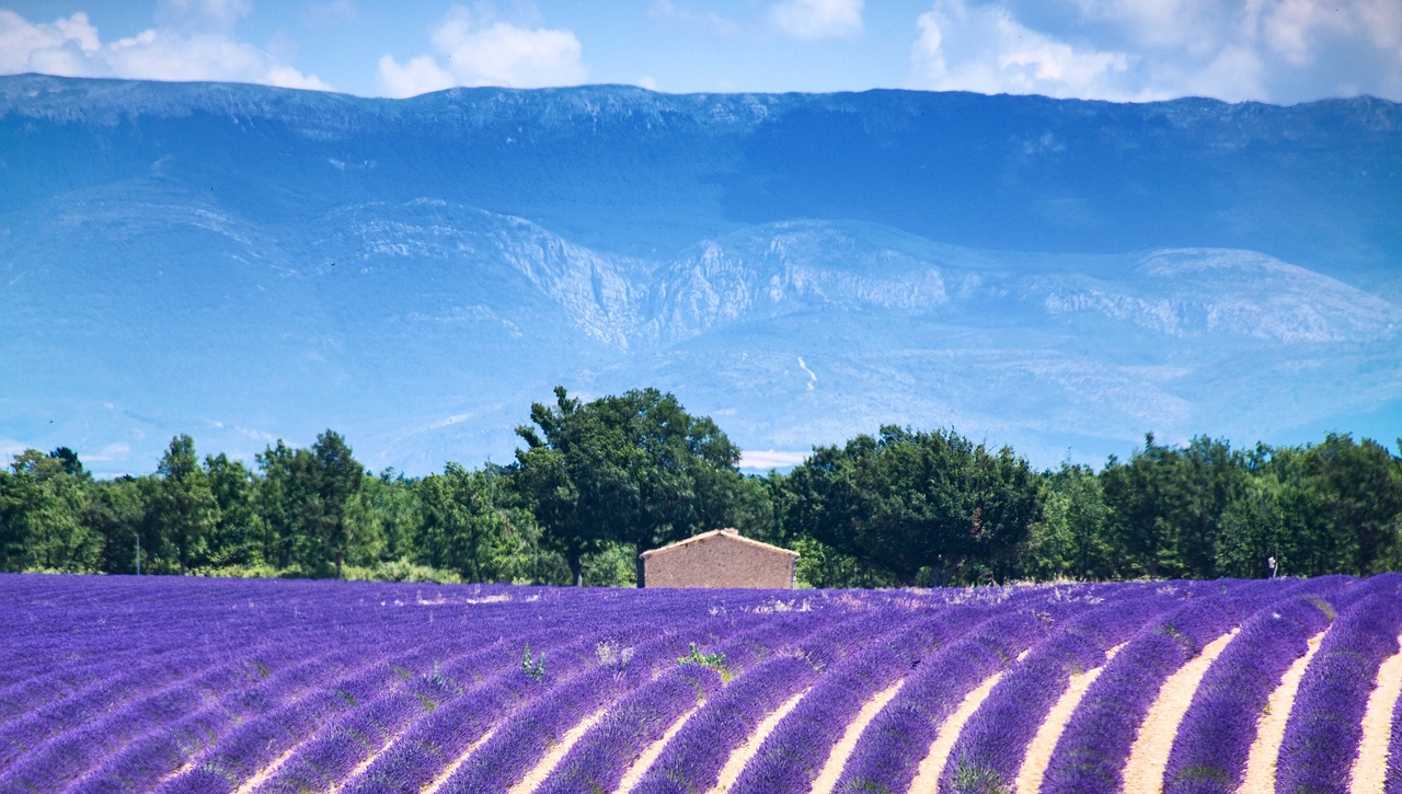 La Provenza