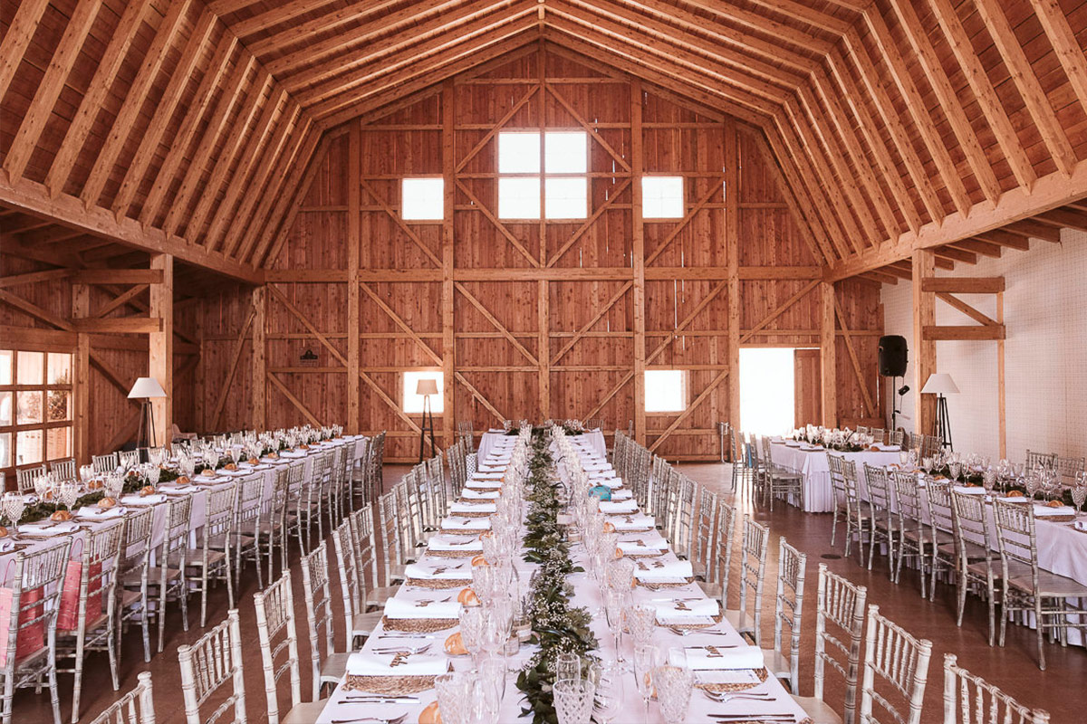bodas