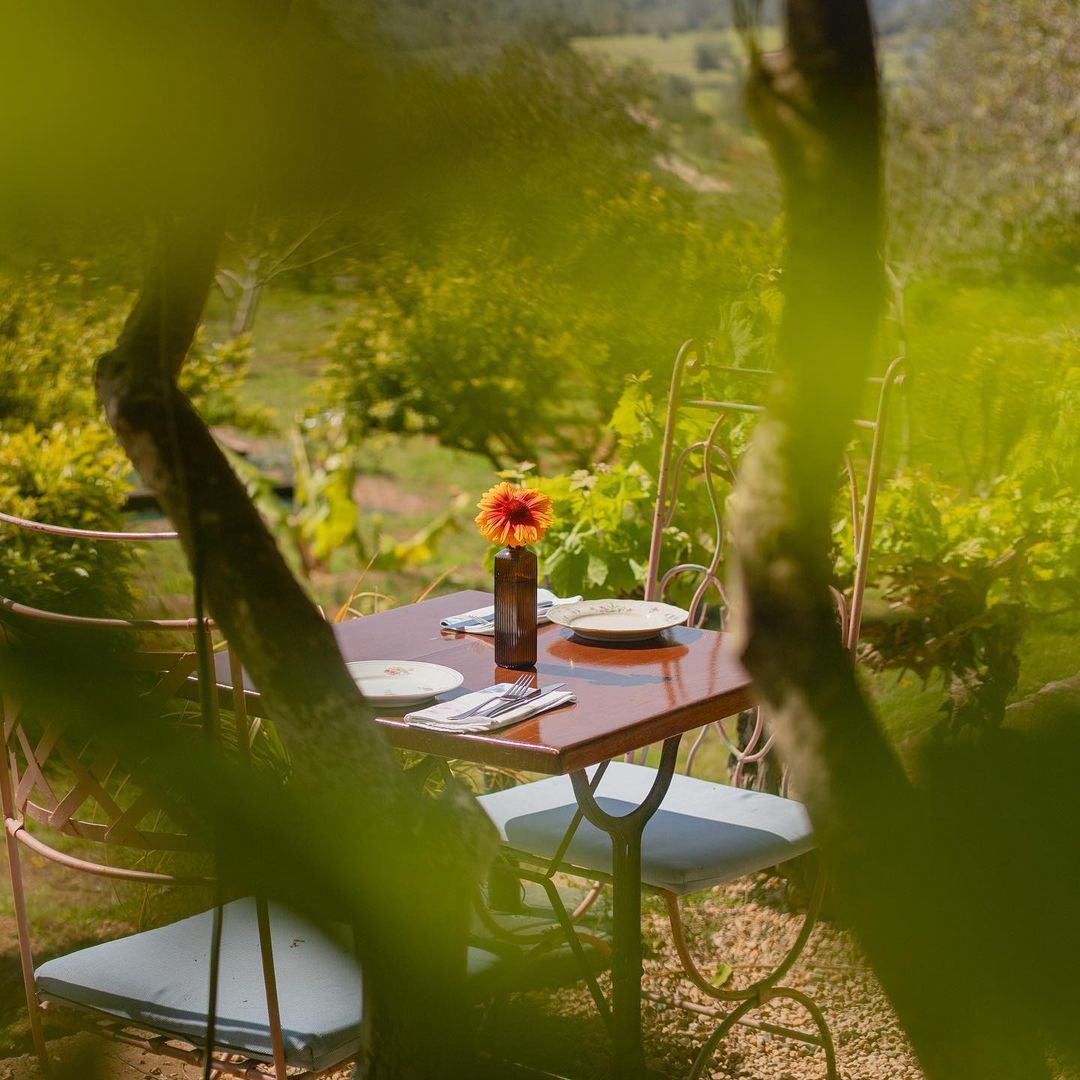 Restaurante La Paloma
