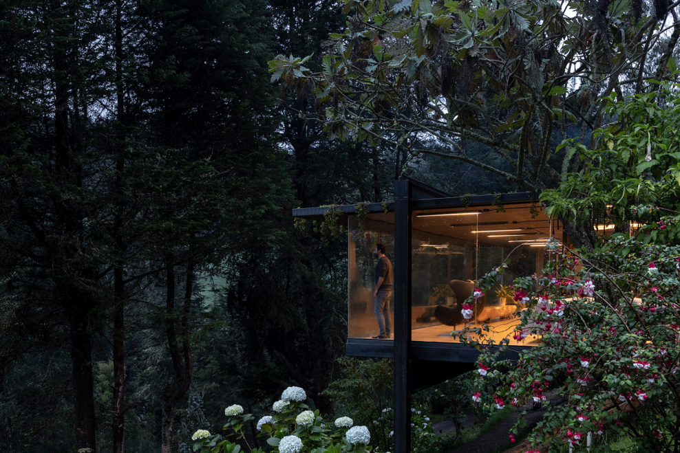 Rama Estudio
