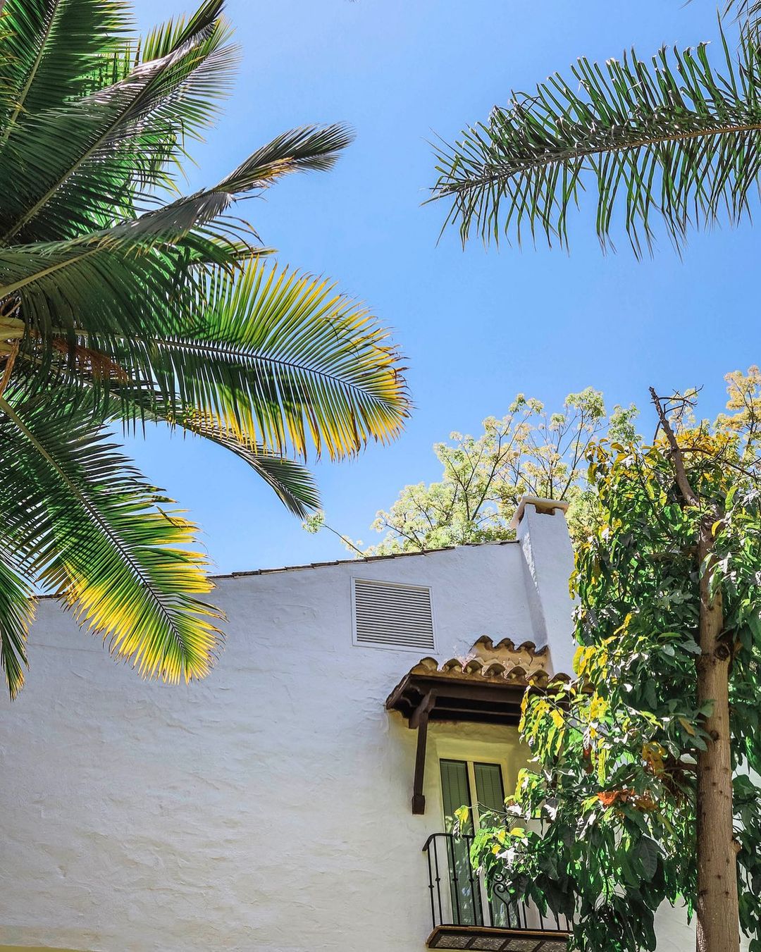 Nobu Marbella