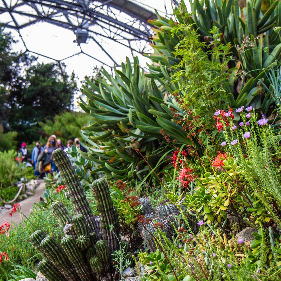 Eden Project