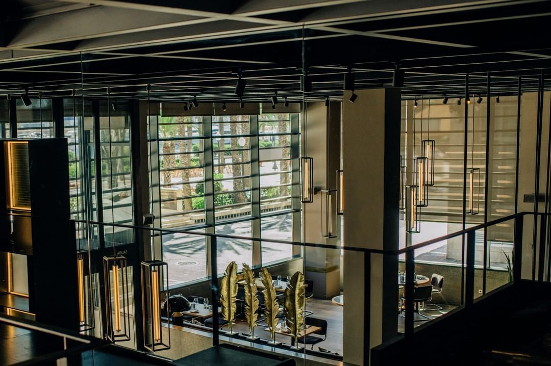 Interior de Terre / Foto: Terre