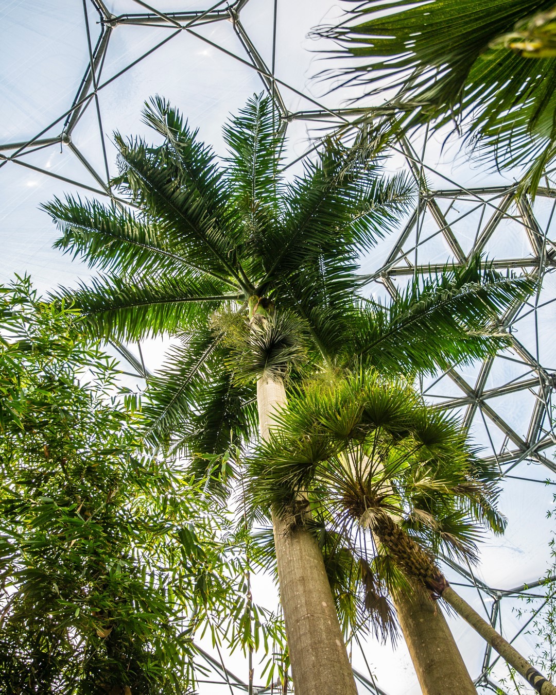 Eden Project