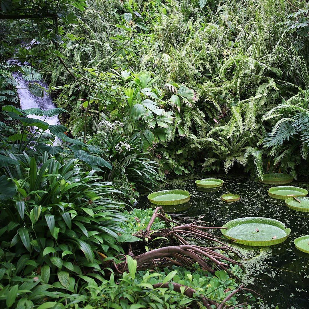 Eden Project