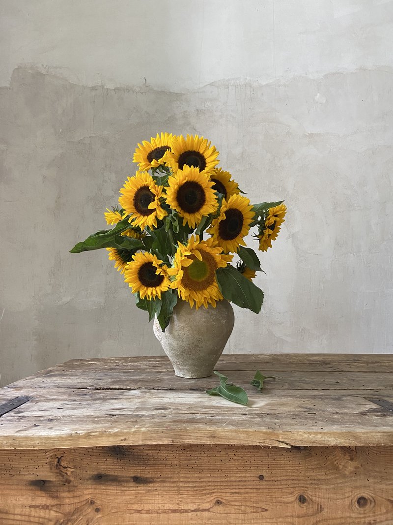 flores