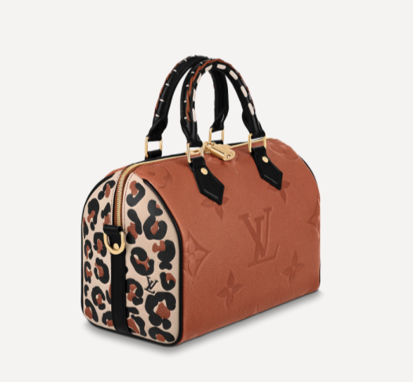 Bolso Louis Vuitton