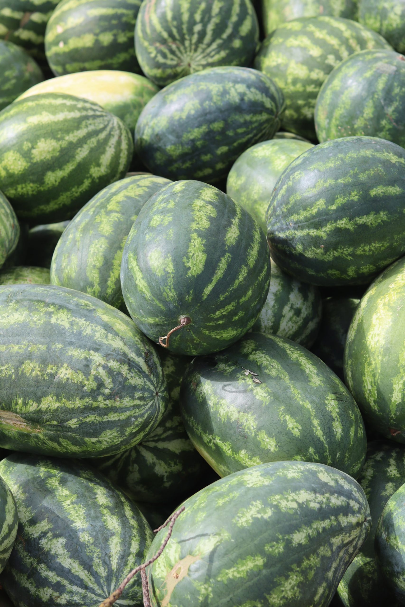 frutas verduras septiembre