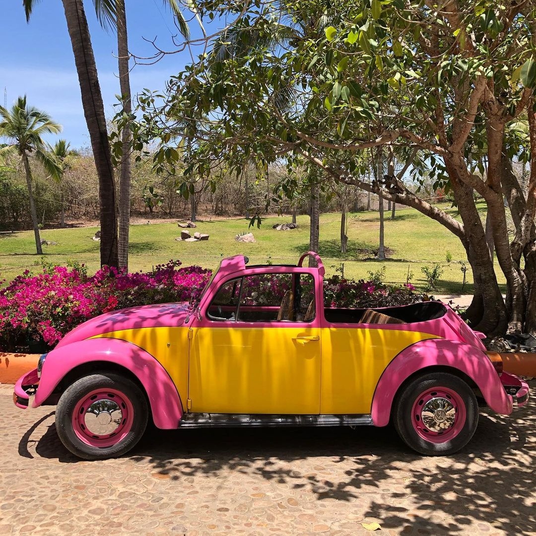 las amandas mexico