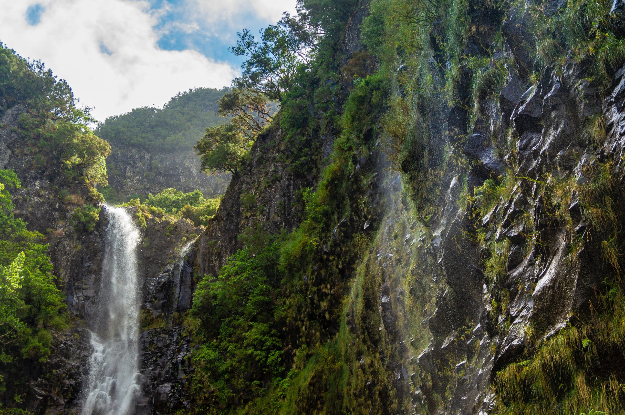 Madeira
