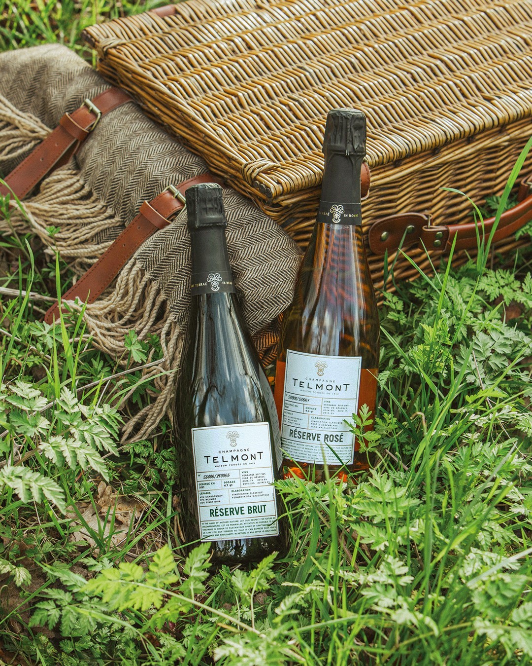 Champagne Telmont