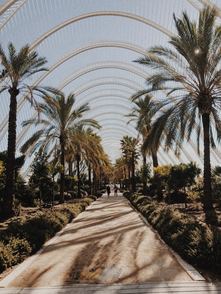 L'Umbracle / Foto: Unplash