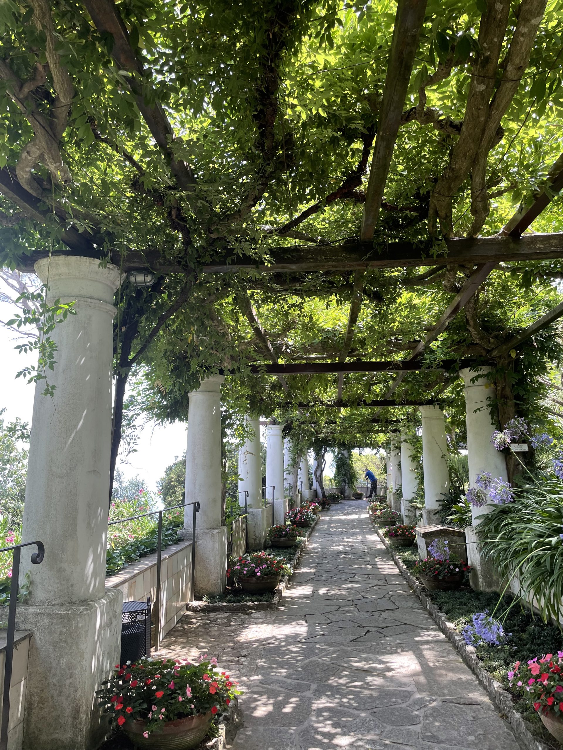 capri