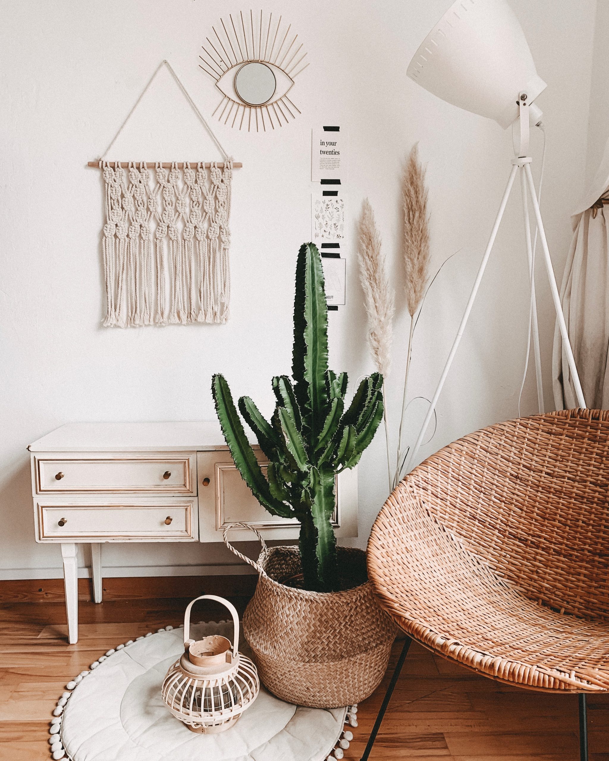 Foto: Alyssa Strohmann en Unsplash