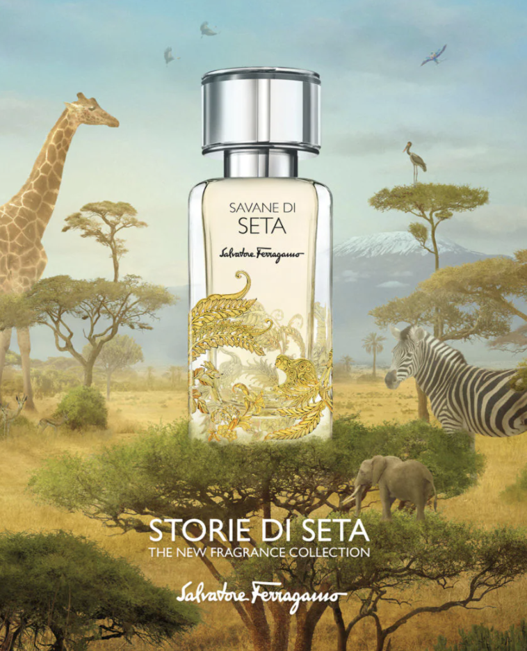 Savane di Seta