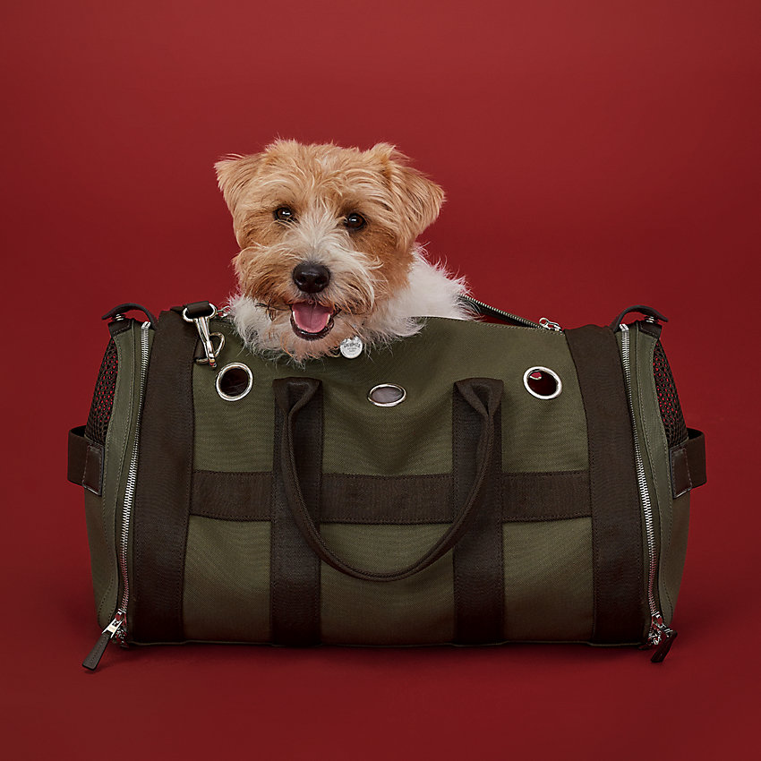 Colecci&oacute;n para perros