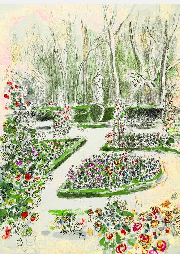 Dibujo de la Rosaleda del Real Jard&iacute;n Bot&aacute;nico de Madrid