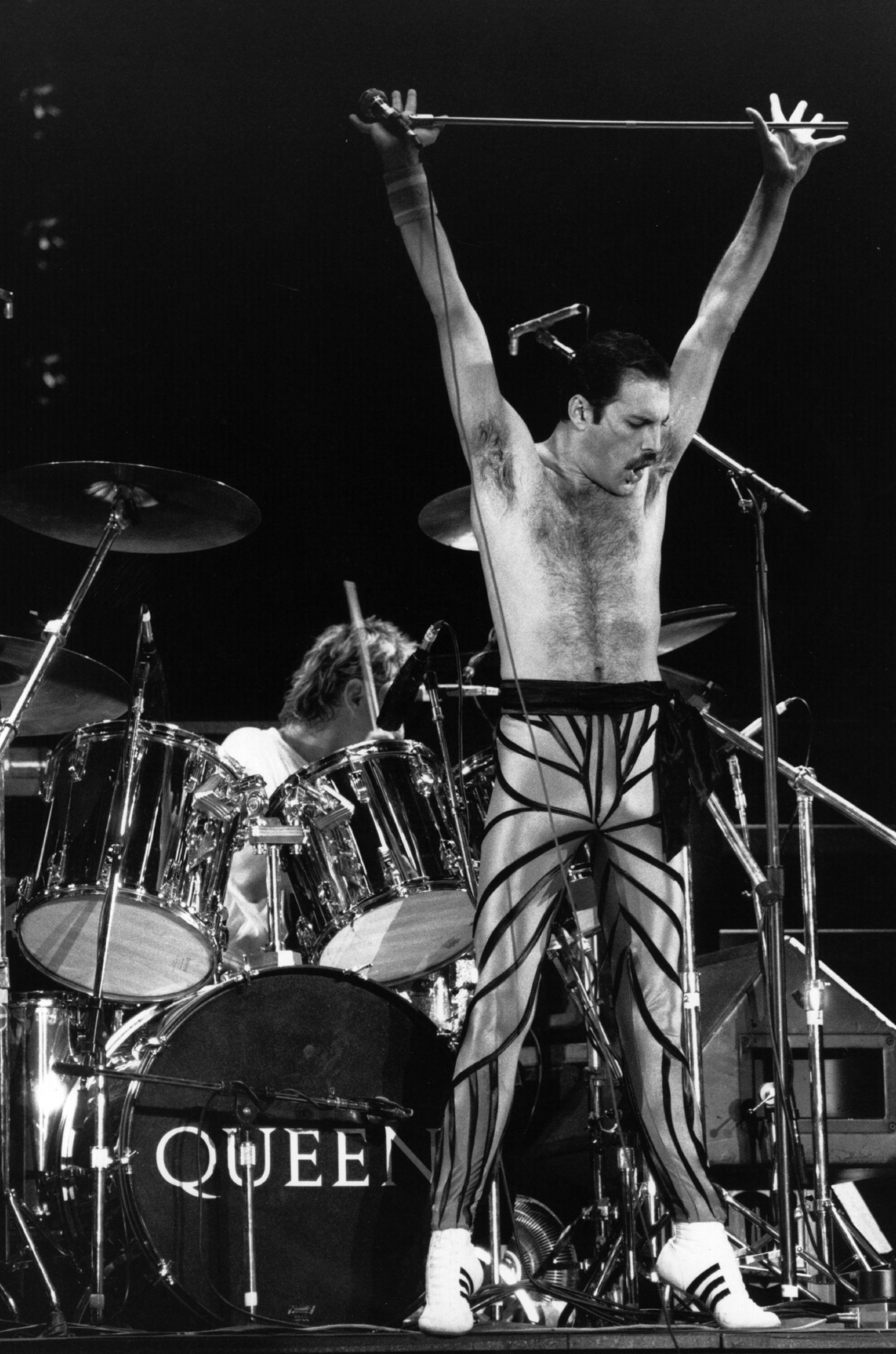 Freddie Mercury