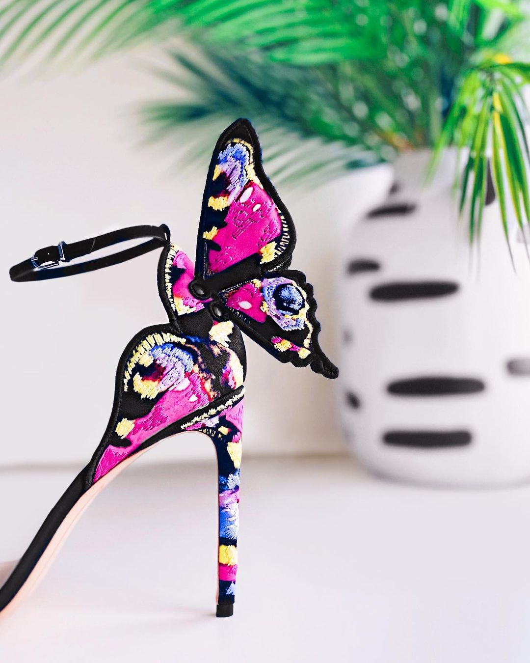 Zapatos Sophia Webster
