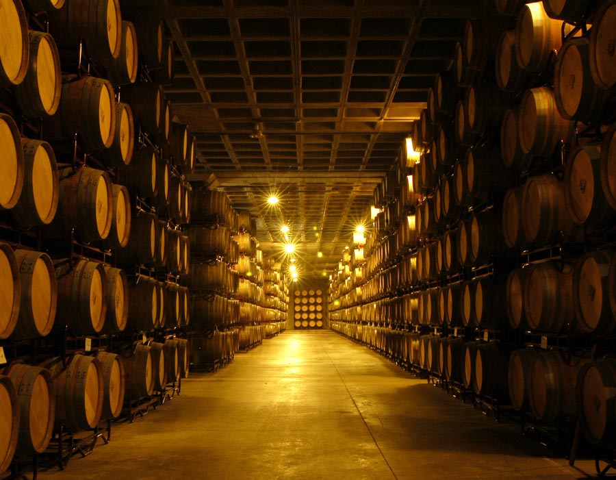 Bodegas Vi&ntilde;a Mayor