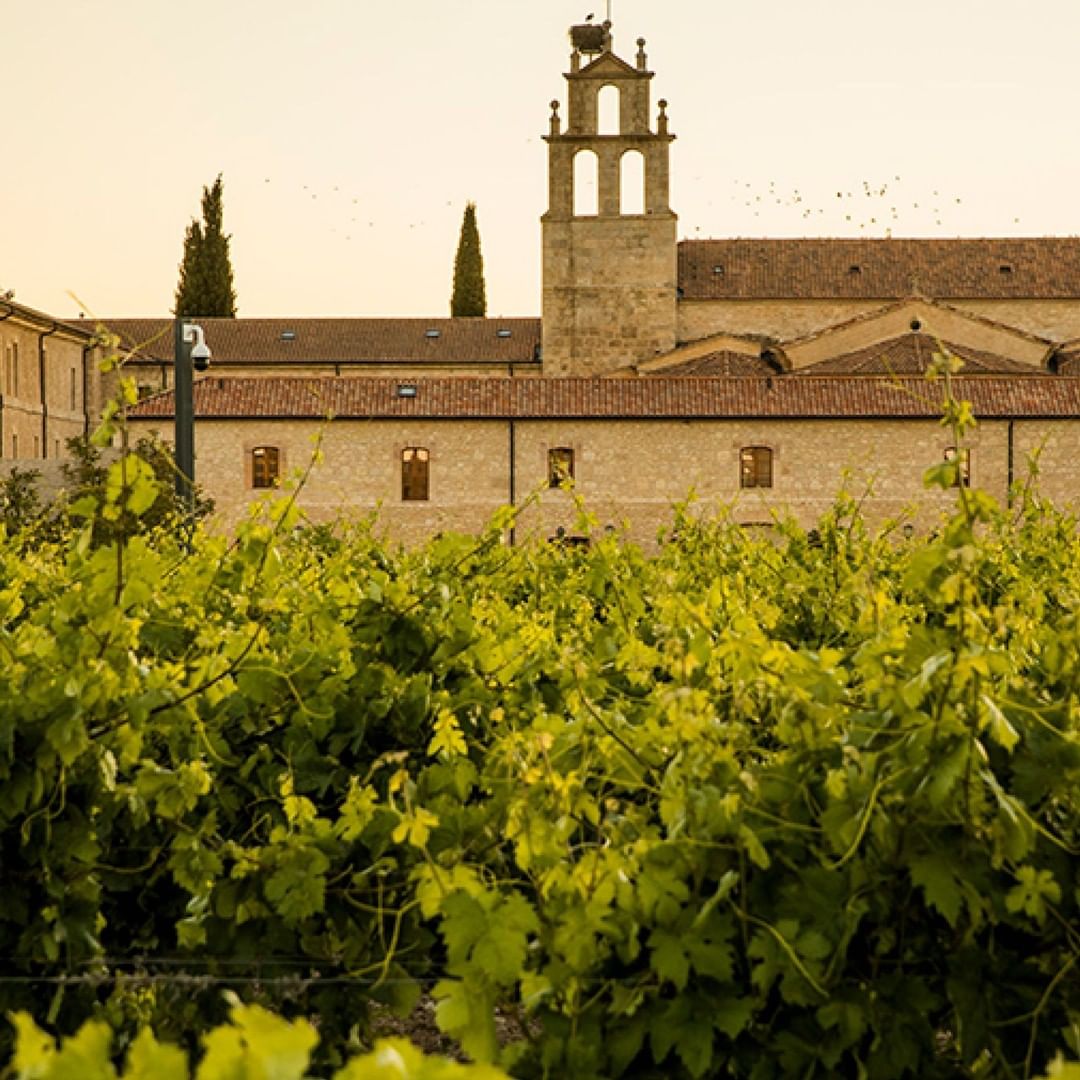 Abad&iacute;a Retuerta LeDomaine