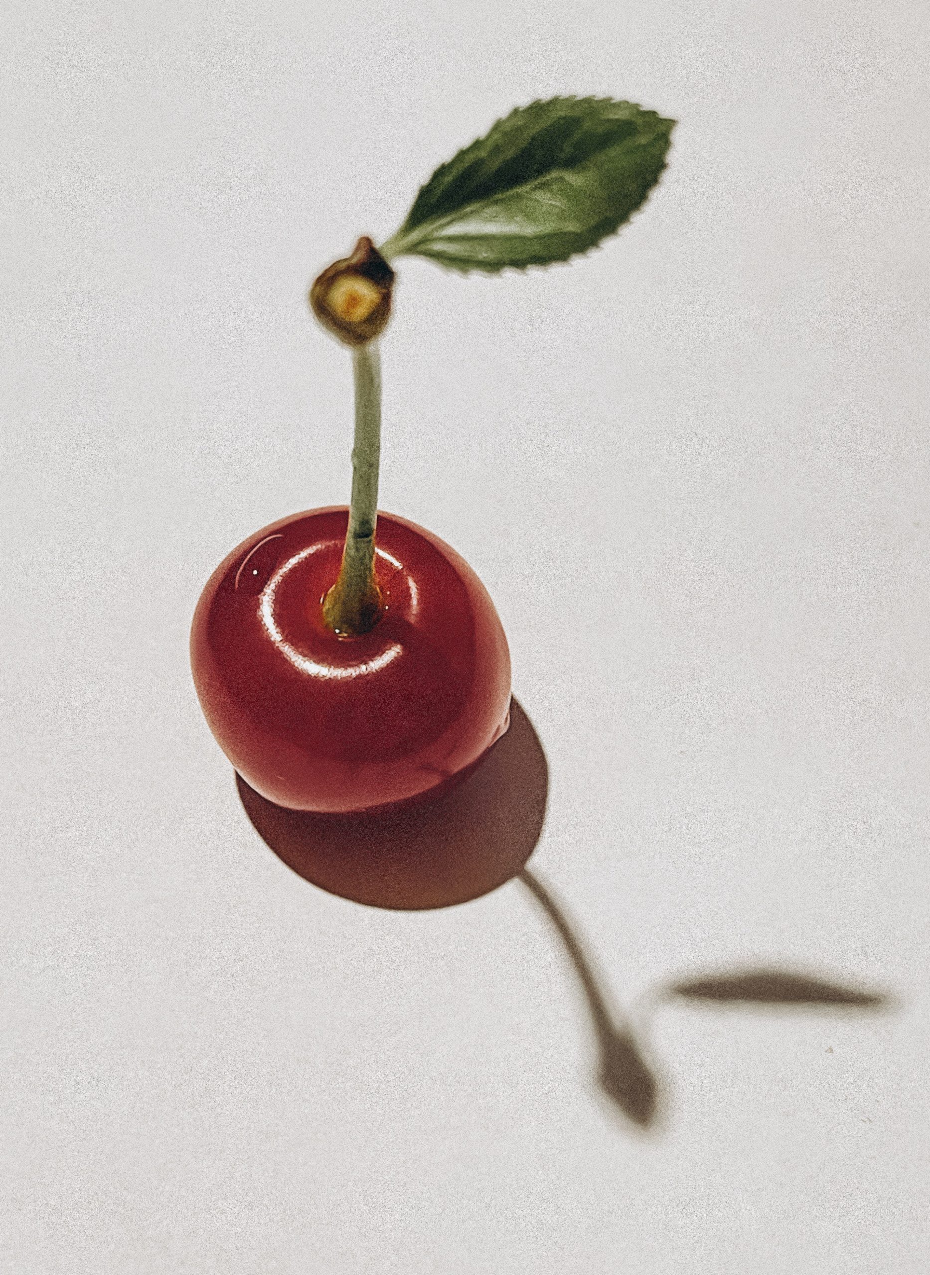 Cereza