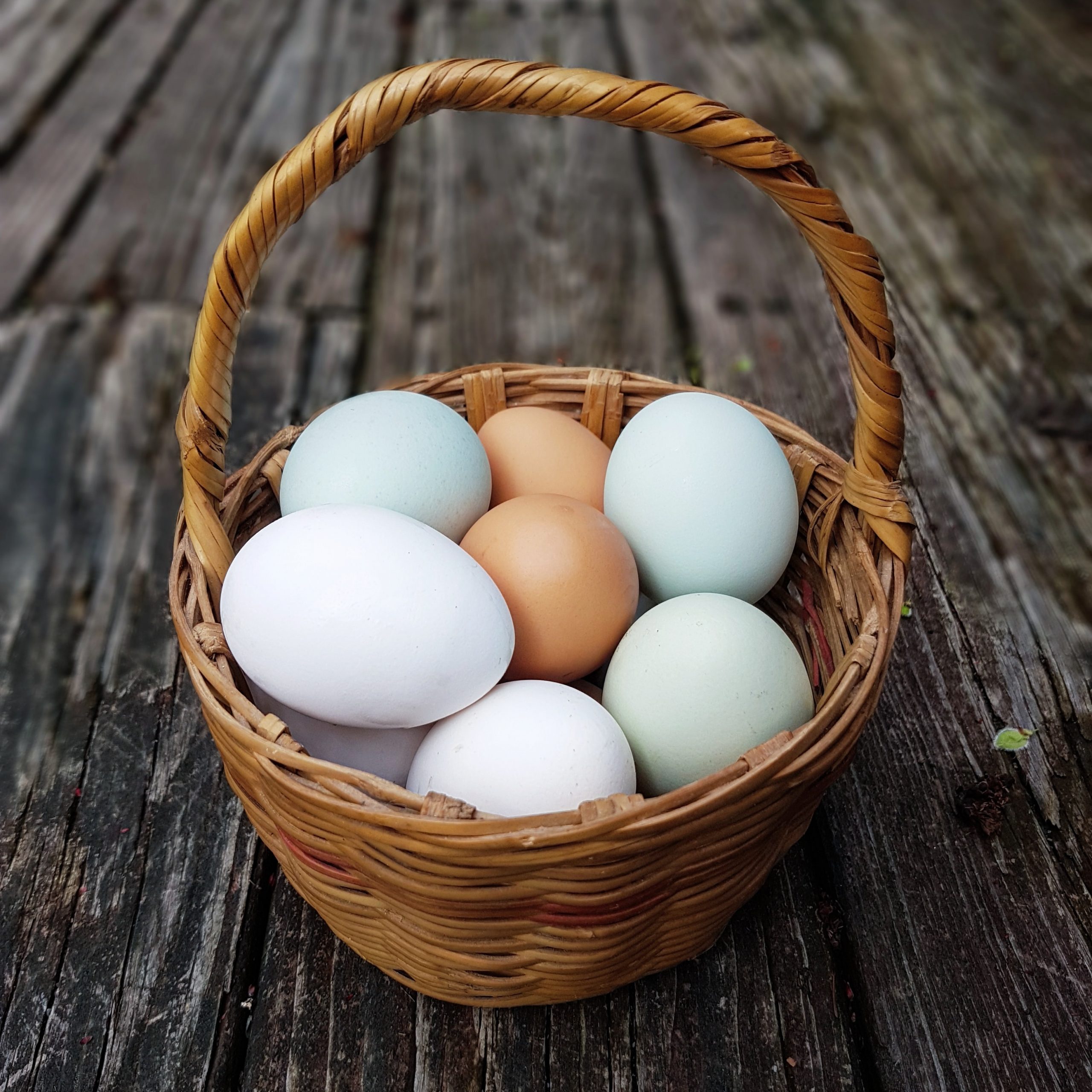 Huevos
