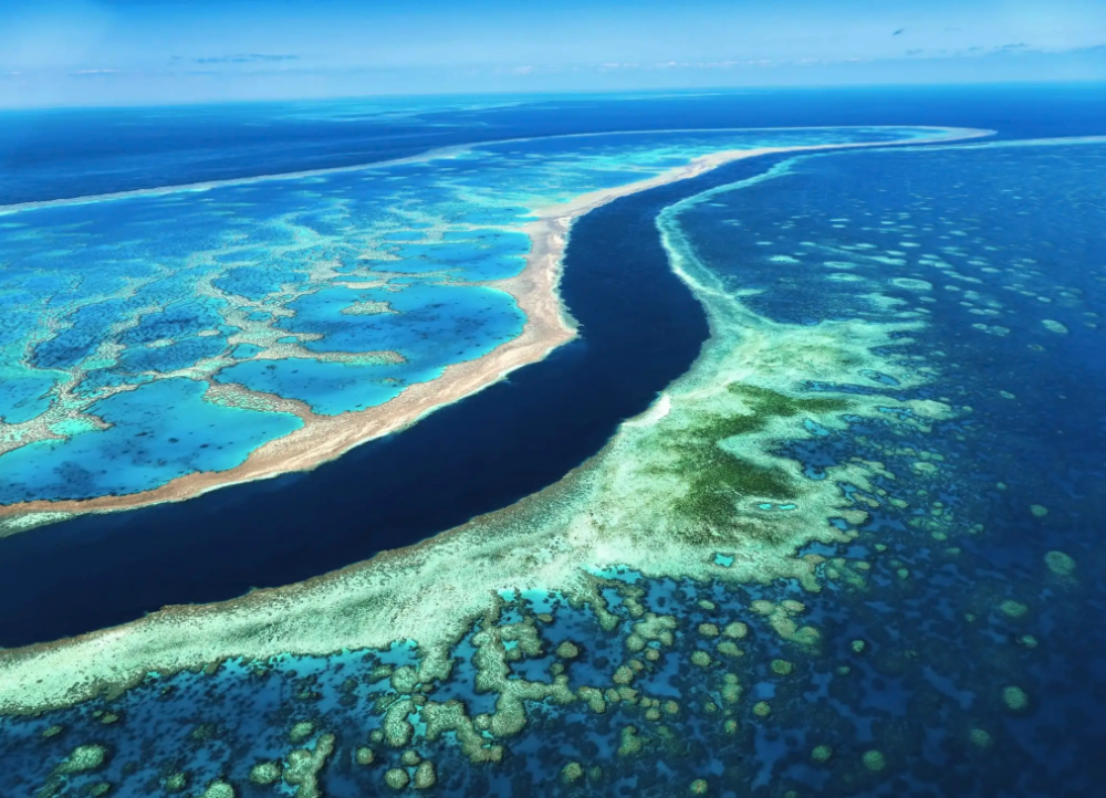 Gran Barrera de coral