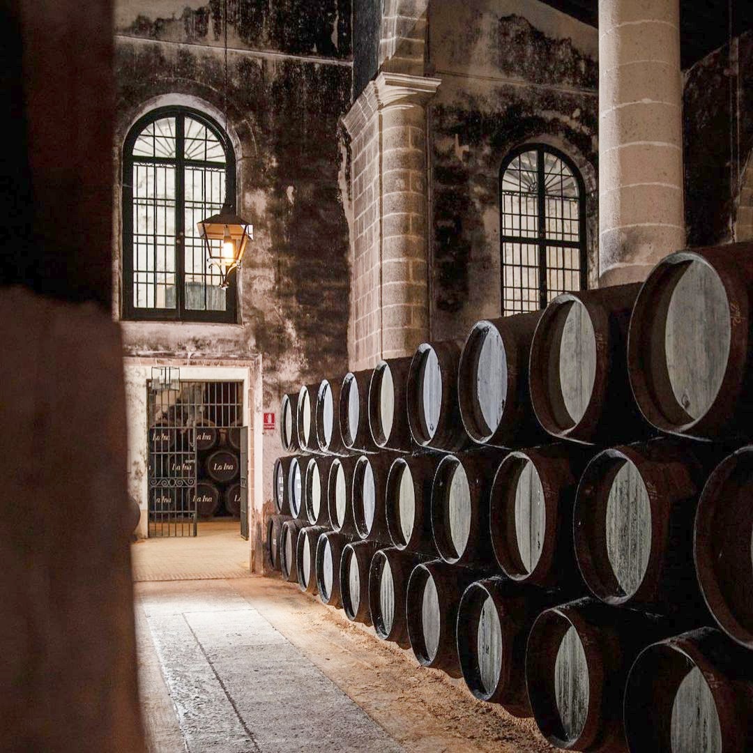 Bodegas Lustre