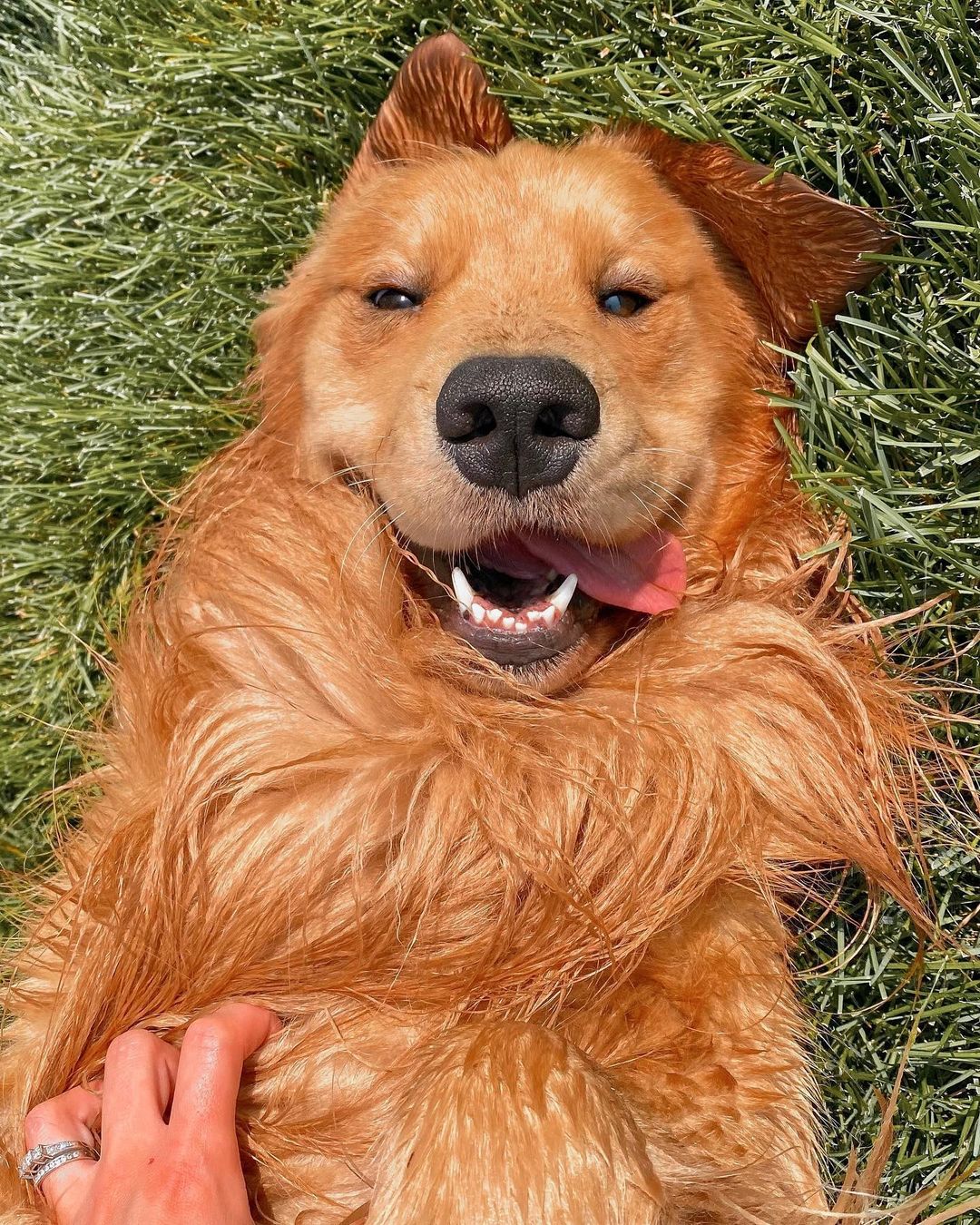 Tucker