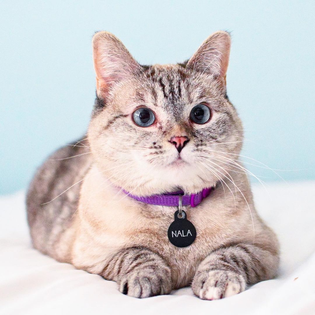 Nala