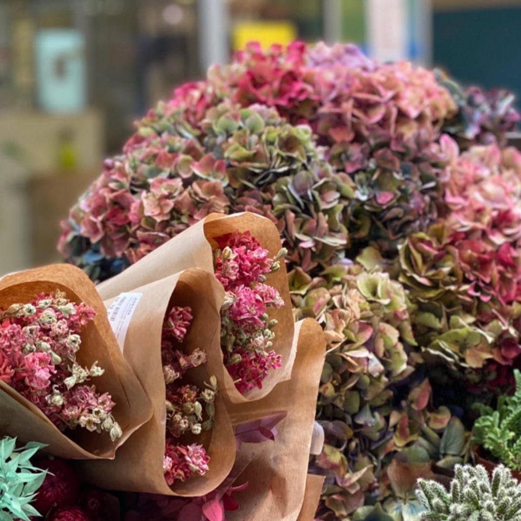 Flores