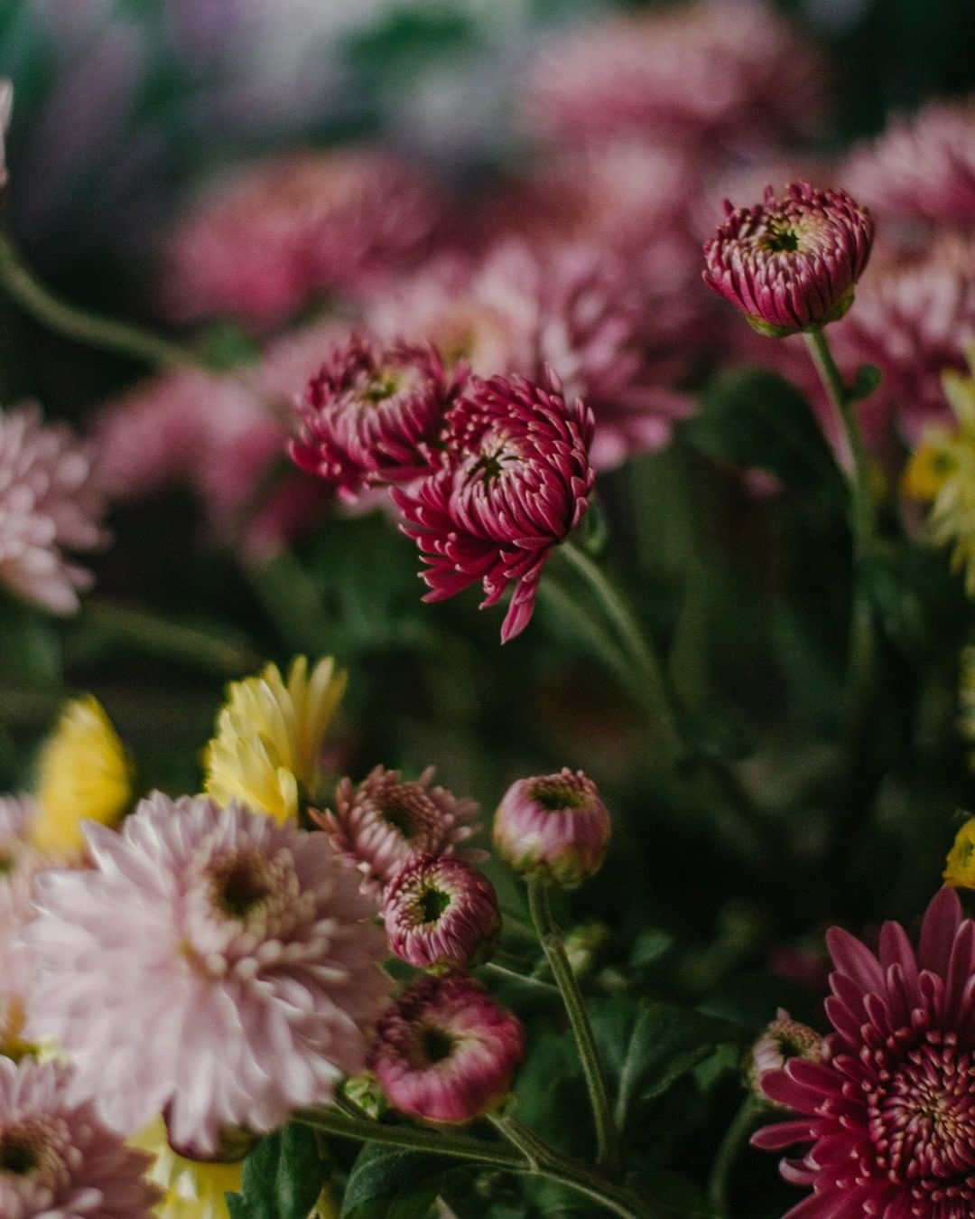 Ramo de flores